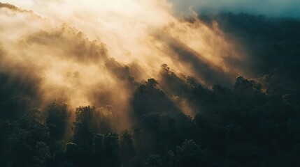 Fototapeta premium Ethereal Fog and Light Rays in a Forest Landscape