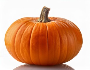 Obraz premium big orange pumpkin isolated on white background