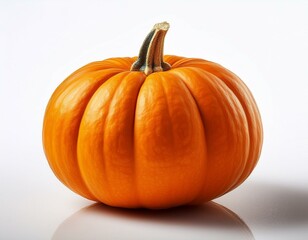 Obraz premium big orange pumpkin isolated on white background