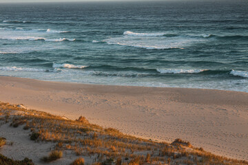 Picture of mandalay beach in Western Australia. Ocean in the background, beach and sand, plants and grass in the foreground. Sea view with waves. Golden hour and sunset evening walk.