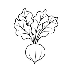 Obraz premium autumn vegetables sey