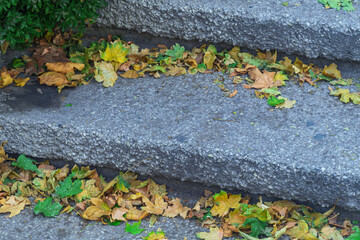 Concrete, stone, large steps of wide street staircase, between which autumn fallen yellow dry leaves of trees have accumulated. A symbol of onset of seasonal changes in nature and weather.