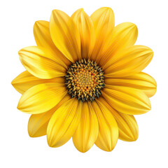 Obraz premium Vibrant and detailed yellow flower with intricate petals, ideal for celebrating nature's beauty and adding a cheerful touch to visuals. PNG transparent background.