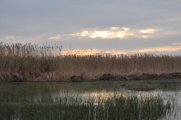 The beautiful natural Wetland landscape in Cyprus