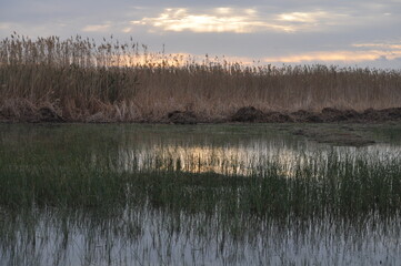 The beautiful natural Wetland landscape in Cyprus