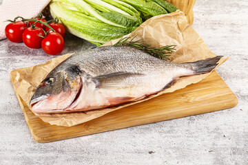 Raw dorada fish served rosemary