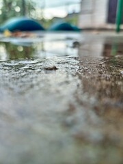 Fototapeta premium rain on the street