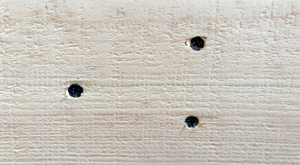 Three screws in the wood. Screw holes. Black screws in a wooden plank.