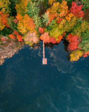 Aerial view of vibrant autumn foliage reflecting on serene North Pond with a dock and surrounding forest, Bryant Pond, Maine, United States.