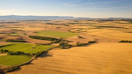 An expansive aerial view of sunlit farmlands with patches of green and golden fields, depicting rural abundance.