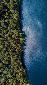 Aerial view of serene forest and river at Rancho Santa Elena, Huasca de Ocampo, Mexico.