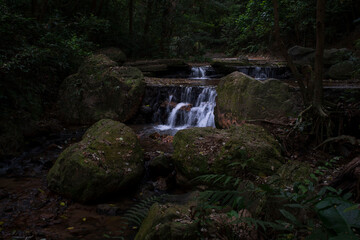 A small stream in the park
