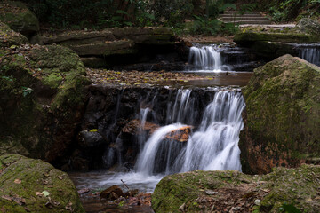 A small stream in the park