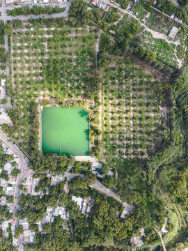 Aerial view of El Compar Pond surrounded by lush trees and verdant fields, Parras, Coahuila de Zaragoza, Mexico.