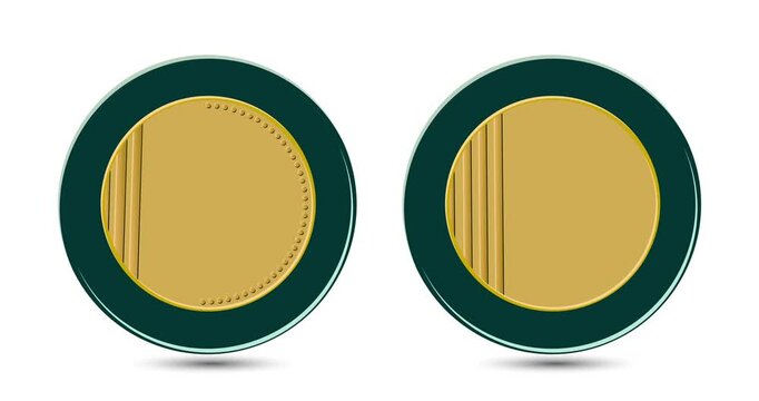 Money of Israel. Israeli 10 New Shequalim appear on the screen with a captivating style. Animated vector coin. Money animation.