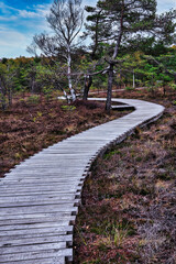 Holzweg im Naturpark