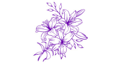 flowers isolated on white