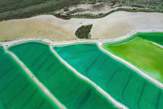 Aerial view of vibrant salt ponds in a geometric pattern within a tranquil landscape, Wheatbelt Region, Australia.