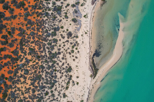 Aerial view of beautiful beach and turquoise water with red sand and vegetation, Monkey Mia, Shark Bay, Gascoyne Region, Australia.