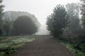 Camino entre bosques con neblina de un paisaje tenebroso y figuras negras