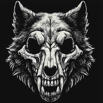metal rock album cover, wolf skull hand drawn