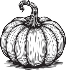 Pumpkin Coloring Pages