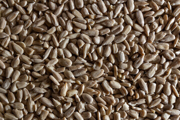 Peeled Sunflower Seeds Background: A Culinary Canvas of Shell-free Sunflower Seeds, Creating a Lively and Textured Background for Gourmet Cooking - Top View, Flat Lay