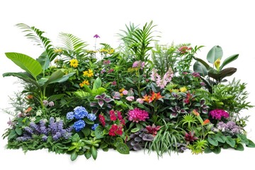 Naklejka premium A selection of various plants and flowers arranged on a white surface