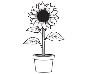 Sunflower flower outline illustration coloring book page design. Sunflower in a pot, Black and white flower