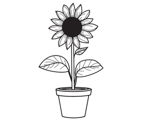 Sunflower flower outline illustration coloring book page design. Sunflower in a pot, Black and white flower