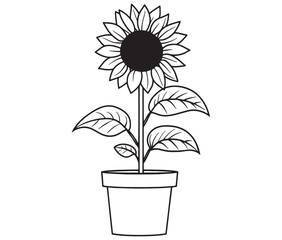 Sunflower flower outline illustration coloring book page design. Sunflower in a pot, Black and white flower