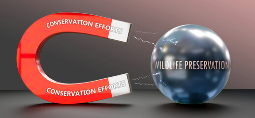 Conservation Efforts attracts Wildlife Preservation. A metaphor showing conservation efforts as a magnet that pulls wildlife preservation. ,3d illustration