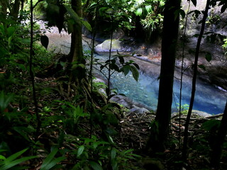 Obraz premium blue pond of clear freshwater in the jungle above bassin bleu in Gourbeyre, Guadeloupe