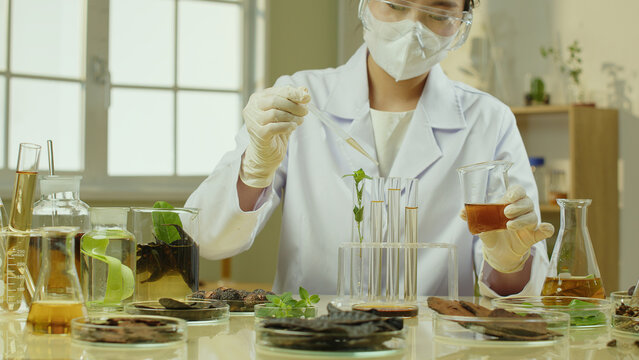 In this image of a modern laboratory, a scientist is seen dropping a brown solution from a beaker to a test tube and is surrounded by glassware that contains different herbal substances.