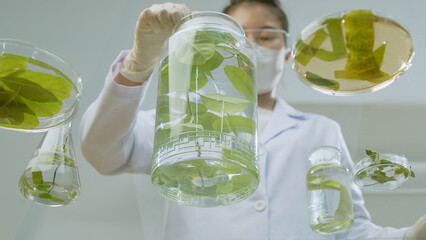 A large water glass tank placed in center of glass experiment table, a scientist standing by and using glass rod to stir clear liquid and fresh leaves. Below view photo, designing space