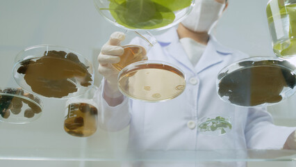 Creative template photo was shot from below view of glass table with variety lab glassware displayed scattered above, a scientist pours yellow essence from glass beaker into petri dish