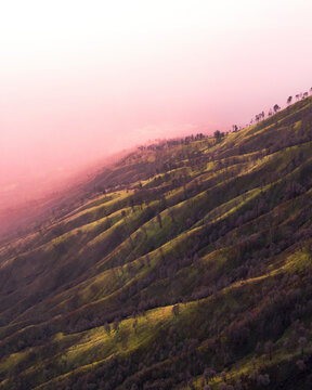 Aerial view of serene and beautiful hillside with lush greenery and misty sunset glow, Wongsorejo, Banyuwangi, East Java, Indonesia.