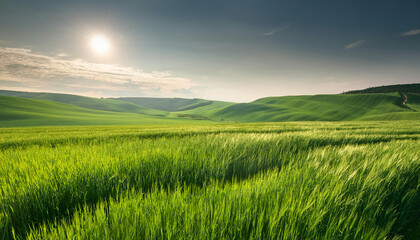 Fototapeta premium Close-Up of a Landscape with Green Fields