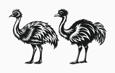 Fototapeta premium emu silhouette vector