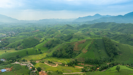 Aerial view of Long Coc tea hills, Phu Tho province, Vietnam. Beautiful green tea plantation in Vietnam. Nature background.