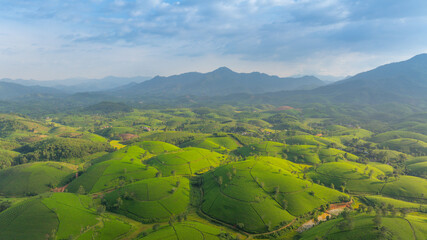 Aerial view of Long Coc tea hills, Phu Tho province, Vietnam. Beautiful green tea plantation in Vietnam. Nature background.