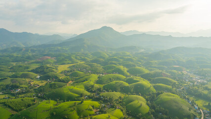 Aerial view of Long Coc tea hills, Phu Tho province, Vietnam. Beautiful green tea plantation in Vietnam. Nature background.