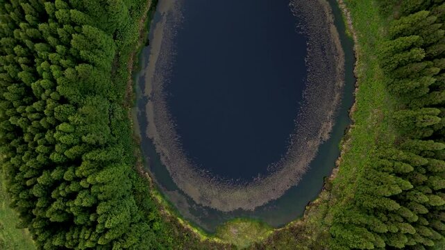 Aerial view of the beautiful Lagoa Pau Pique surrounded by lush forest and vibrant trees, Capelas, Portugal.