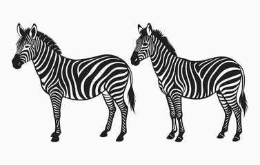 Fototapeta premium zebra vector, zebra silhouette vector art