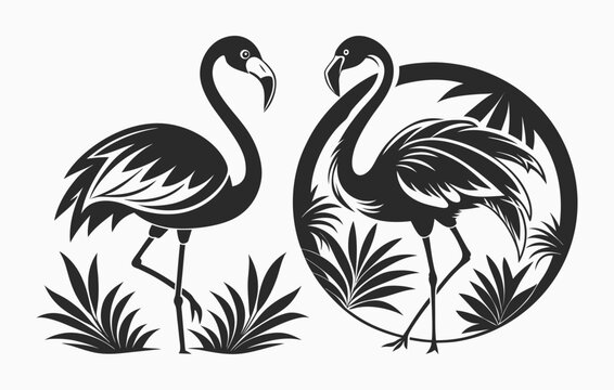flamingo vector design, flamingo silhouette vector