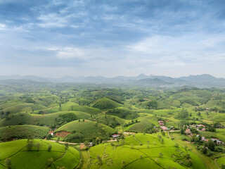 Aerial view of Long Coc tea hills, Phu Tho province, Vietnam. Beautiful green tea plantation in Vietnam. Nature background.