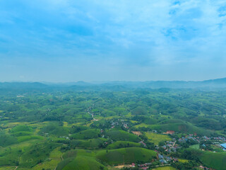 Obraz premium Aerial view of Long Coc tea hills, Phu Tho province, Vietnam. Beautiful green tea plantation in Vietnam. Nature background.
