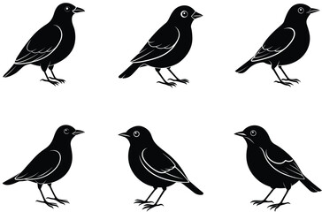 birds set silhouette vector illustration