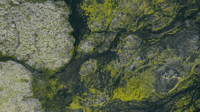 Aerial view of vibrant green moss covering rugged terrain, Hella, Iceland.