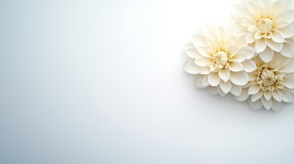 A minimalist flower wall art featuring delicate white flowers arranged on a light background. The simple yet elegant design evokes a sense of calm and purity, perfect for modern interiors